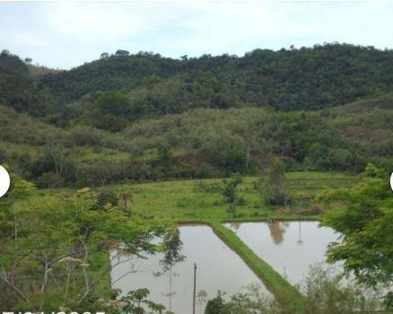 Sítio À Venda, 300000 M² Por R$ 1.000.000,00 - Jacuba - Rio Bonito/rj - Si0010
