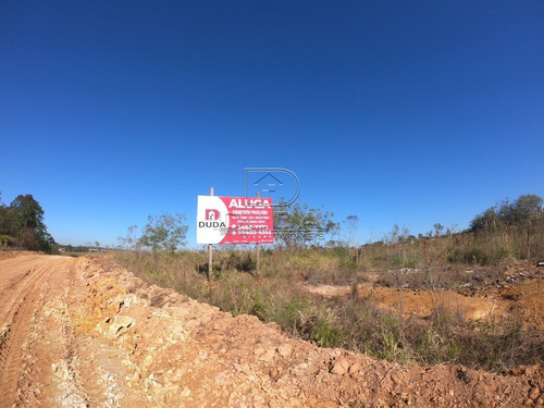 Imagem 7 de 7 de Terreno Comercial - Cristo Redentor - Ref: 34079 - L-34076
