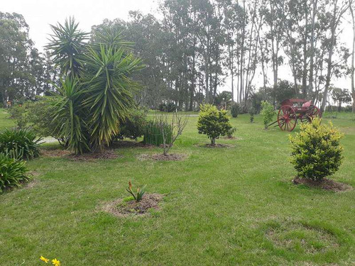Venta Chacra Permuta Colonia Montevideo Punta Del Este Buenos Aires