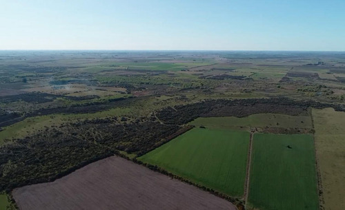 Campo - Costa Del Uruguay