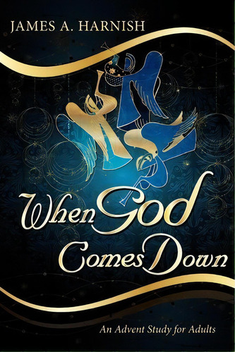 When God Comes Down, De James A Harnish. Editorial Abingdon Press, Tapa Blanda En Inglés