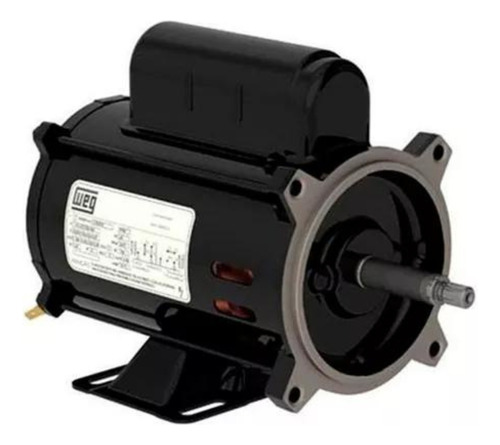 Motor Para Bomba De Piscina Igui 0,5cv 110/220v Weg 110V/220V