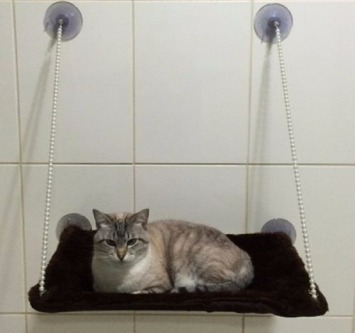 Cama Suspensa De Descanso Para Gato - Pelucia Ou Estampada