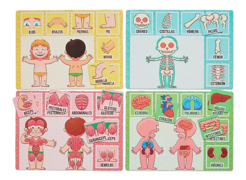 Juego De Mesa Infantil Didáctico 3 En 1 Cuerpo Humano