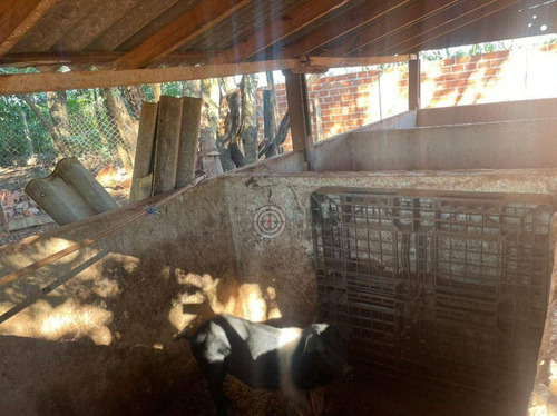 Imagem 10 de 14 de Chácara Com 4 Dormitórios À Venda, 4000 M² Por R$ 370.000,00 - Alto Da Boa Vista - Foz Do Iguaçu/pr - Ch0031