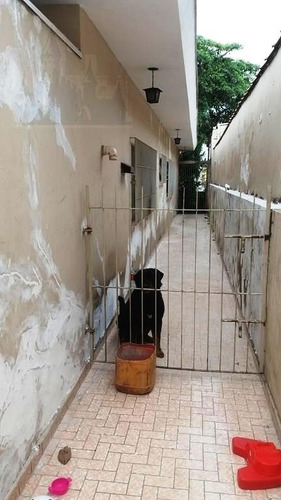 Imagem 18 de 27 de Casa Para Aluguel, 4 Dormitórios, São João Clímaco - São Paulo - 11544