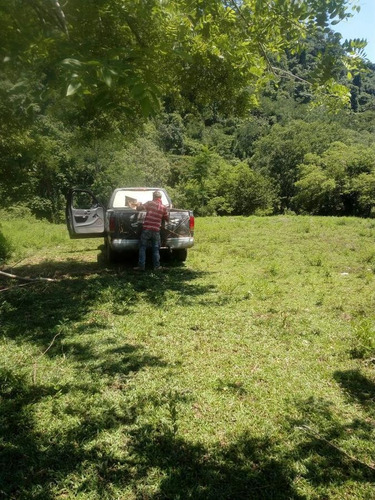 Imagen 6 de 7 de Terreno - San José Chiltepec