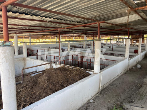 Rancho En Venta En Morelos, Tetecala