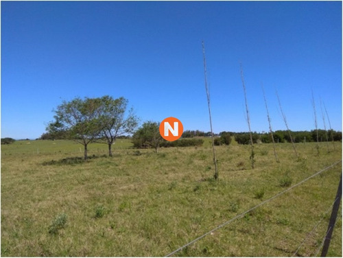 Espectacular Chacara A La Venta!- Ref: 213286