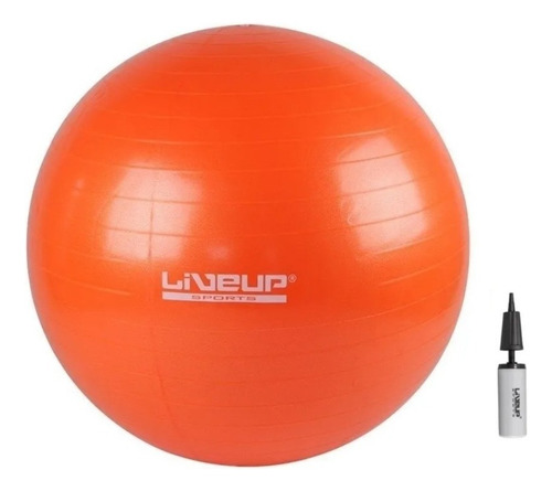 Pelota Gimnasio Bobath Pilates Yoga 65 Cm Con Bomba Azul