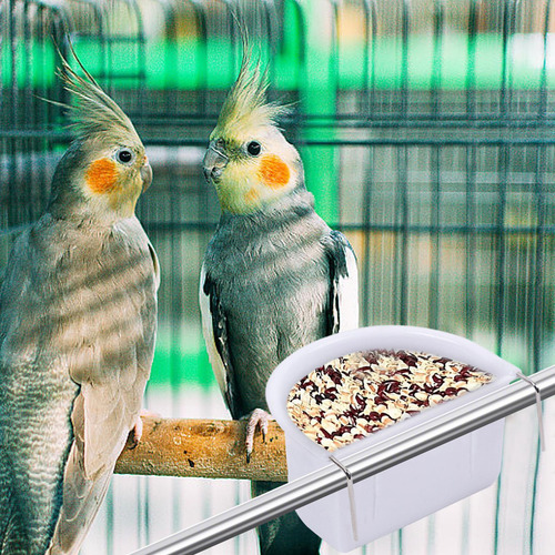 M Comedero Para Jaula De Pájaros Taza Para Plato Comedero