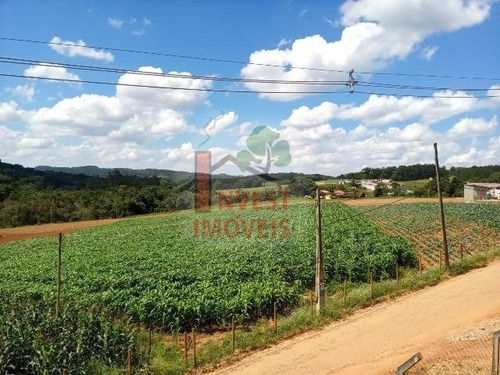 Imagem 13 de 14 de Chacara - Ref: 6709 - V-6709