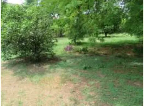 Lote En Venta / Santa Fe De Antioquia