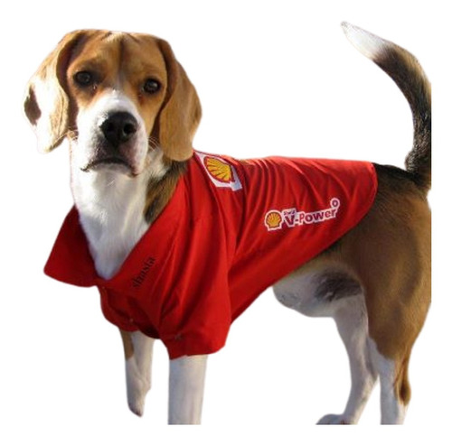 Camisas Ropa Para Perros Y Gatos  Cancheros - Formula 1