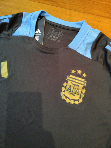 Camiseta Remera Adidas Argentina Afa Entrenamiento (Usado)