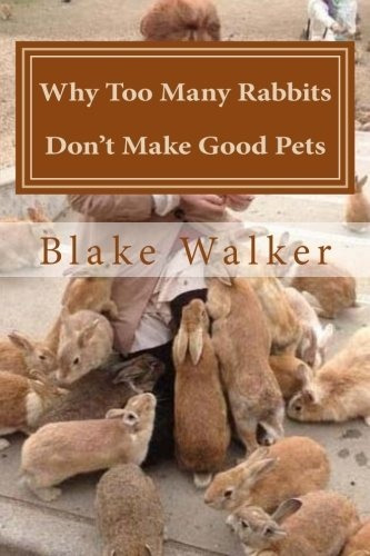 Why Too Many Rabbits Dont Make Good Pets