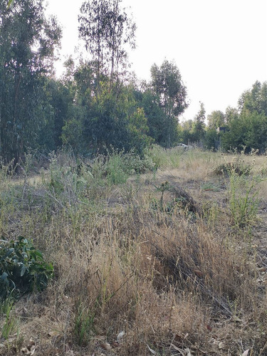 Parcela En Venta En Bosque De Mantagua Concon
