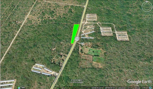 Imagen 4 de 6 de Terreno En Venta En Chochola De 356m Frente A Carretera Meri