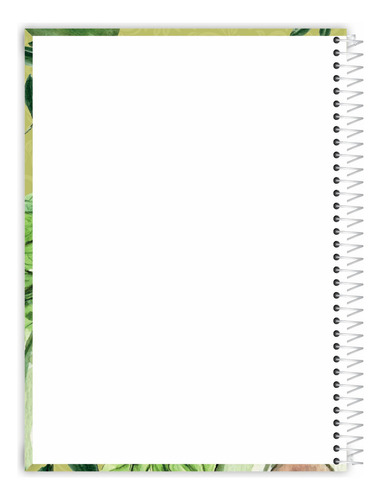 Caderno Feminino My Collection Capa Dura 20 Matérias Sortido