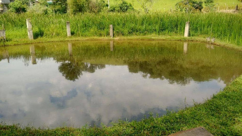 Imagem 6 de 23 de Chácara Residencial À Venda, Penhinha, Arujá - Ch0041. - Ch0042