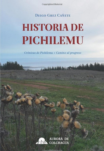Libro Historia De Pichilemu Diego Grez Cañete Tapa Dura
