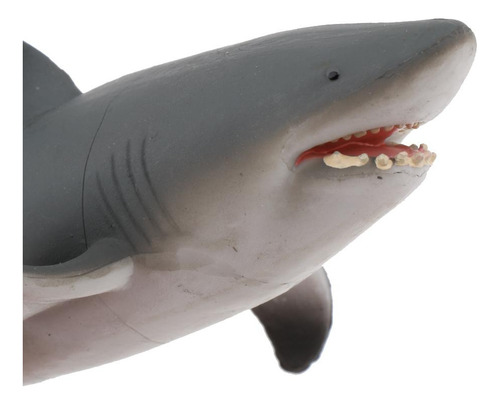 De Juguete De Gran Tiburón - Life Animales Modelo