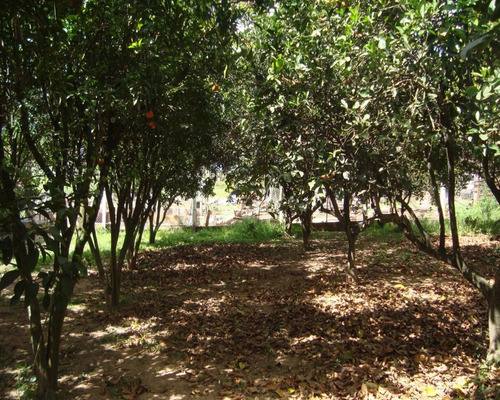 Chácara 2.000 M² - Recanto Da Coxilha - Gravataí - Rs - 1267 - 32419788