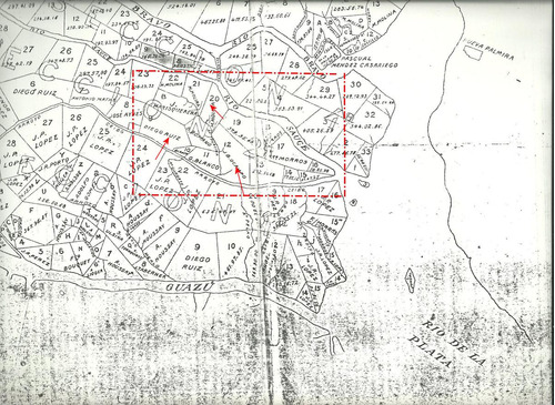 Imagen 7 de 7 de Campo - Islas Del Ibicuy