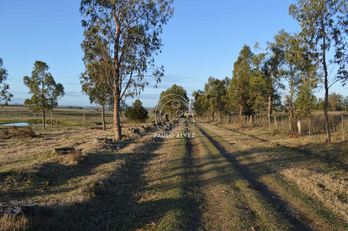 Imagen 4 de 16 de Chacras-venta-piriapolis-ch059