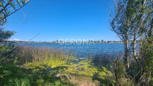 Venta Terreno De 11000mts En Carrasco Este .