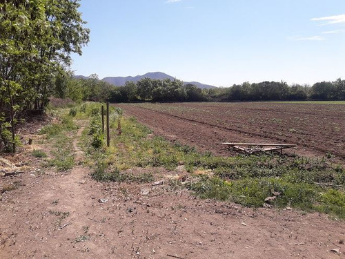 Agrícola En Venta En Lo Herrera, San Bernardo