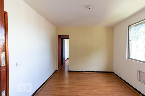 Apartamento Para Aluguel - Quintino Bocaiúva, 1 Quarto, 50 - 893308037