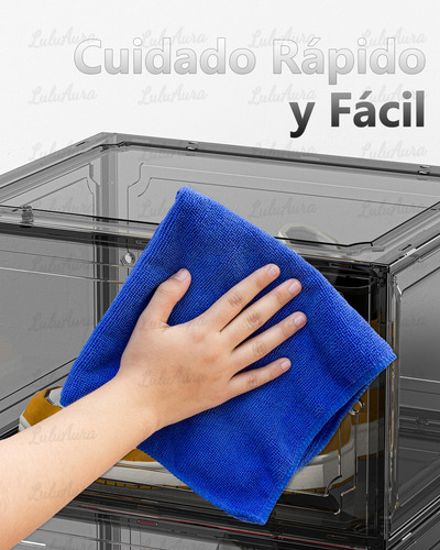 Zapateras Apilables Transparentes 10pz Caja Plástica Zapatos Negro