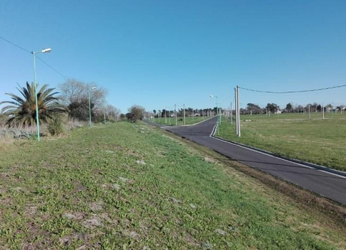 Imagen 14 de 30 de Lote En Venta En Gorina | 501y138 | Altos De Don Carlos 2 (mza.1-l.6) Uf. B
