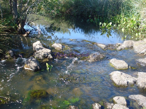 Imagen 3 de 18 de Campo 98 Has Con 2891 M2 En Carape Cuenta Con Costa De Arroyo.