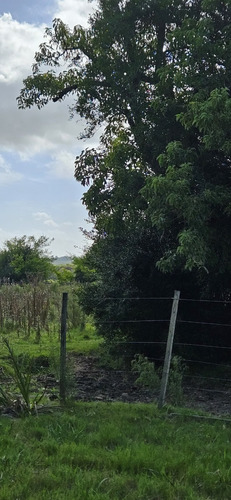 Oportunidad: Campo Espectacular, Con Arroyo Y Manantiales. Apto Para Recreo, Agricultura Y/o Ganadería