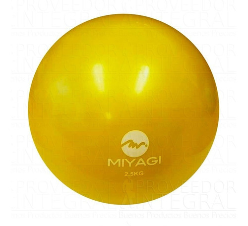 Balón Pelota Medicinal Mini C/ Peso 2.5kg Amaril Miyagi 