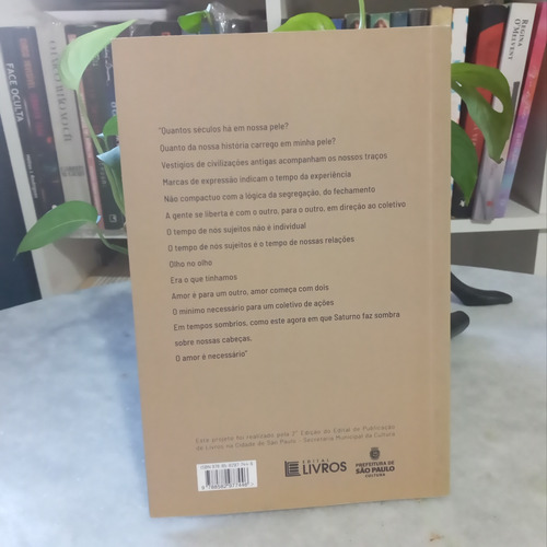 Livro: O Desmonte - Amarildo Felix (Usado)