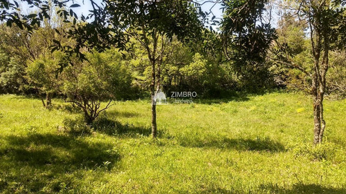 Imagem 9 de 13 de Terreno Vila Etelvina 3.000 M², Frente Oeste, Riacho - 86952