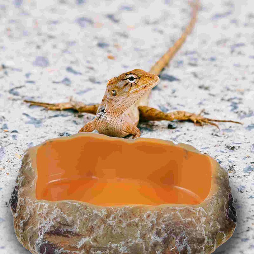 Cuenco De Agua Para Reptiles, Cuenco De Resina Para Comida S