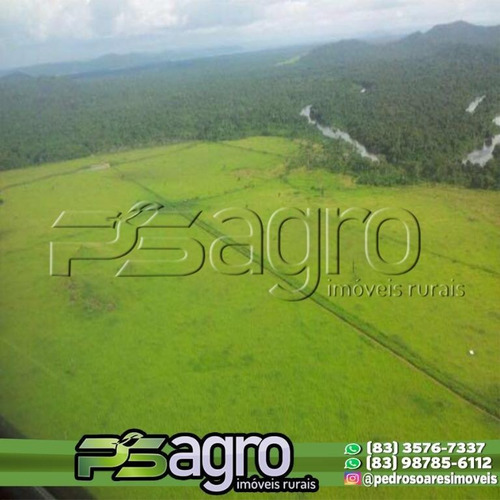 Imagem 10 de 16 de Fazenda À Venda, 65000 Hectares Por R$ 190.000.000 - Zona Rural - São Félix Do Xingu/pa - Fa0156