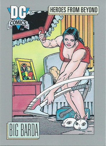 Barajita Big Barda Dc Comics 1991 #114 Heroes From Beyond