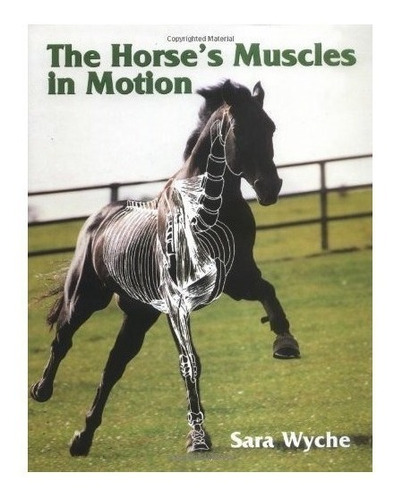 The Horse's Muscles In Motion - Sara Wyche (hardback)