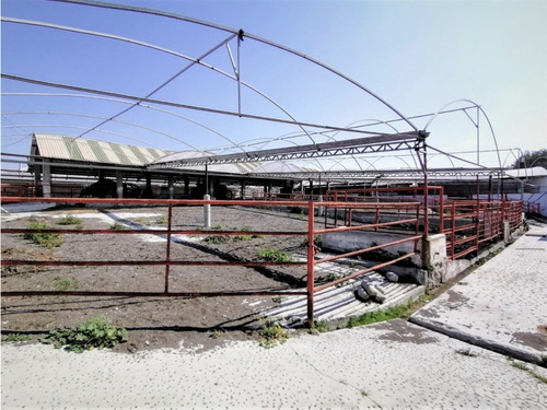 Rancho En Acatlán, Hidalgo (producción Ganadera Y De Queso).