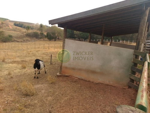 Imagem 14 de 30 de Linda Chácara Em Fernão De 20.000 M² Aceita Permuta - Ch00149