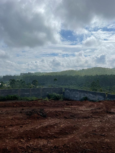 Imagem 18 de 30 de 51- Terrenos Em Mogi Das Cruzes Com Mil Metros