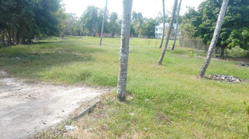 Attention Investors! Amazing Big Lot In Montellano, Puerto Plata