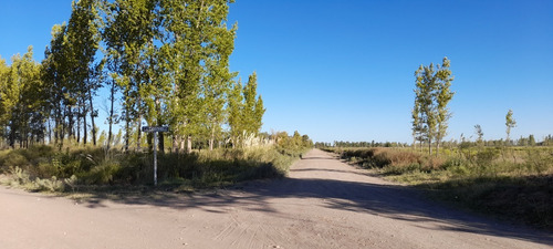 Imagen 3 de 3 de Vendo - Permuto Finca De 274 Has En Gral. Alvear - Mza