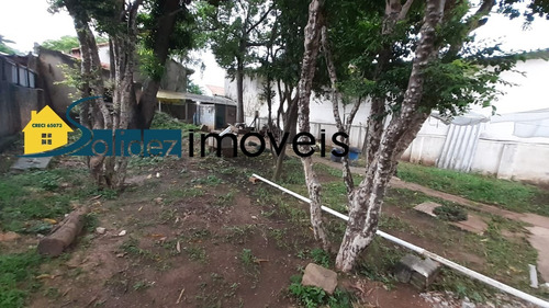 Imagem 7 de 16 de Terreno A Venda - Santana - Te00052 - 70109296