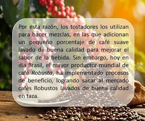 Imagen 3 de 6 de Cafe Italiano Lavazza Gusto Forte Espresso Grano 1kg